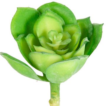 Yapay Çiçek Kaktüs Sukulent Yeşil 14 Cm.