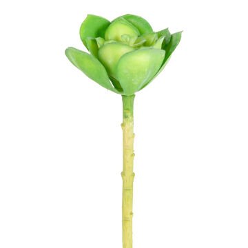 Yapay Çiçek Kaktüs Sukulent Yeşil 14 Cm.