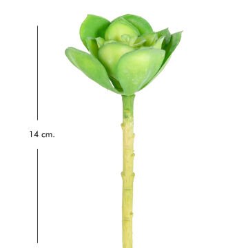 Yapay Çiçek Kaktüs Sukulent Yeşil 14 Cm.