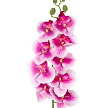 Yapay Çiçek Orkide Gerçek Dokunuş Fuşya-Beyaz 95 Cm.