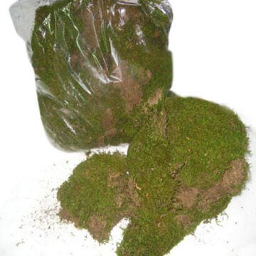 Kuru Bitki, Yosun - 1 Kg Paket ±