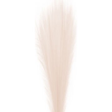 Yapay Bitki Pampas Krem 108 Cm.