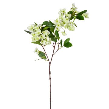 Yapay Sütleğen Çiçek, Islak Dokulu, Su Yeşili - 77 cm