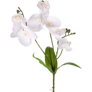 Yapay Çiçek Orkide Gerçek Dokunuş Beyaz 45 Cm.