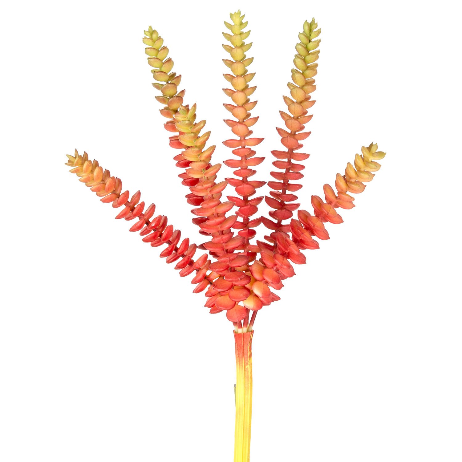 Yapay Kaktüs Sukulent Kırmızı/Yeşil 26 Cm