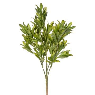 Yapay Bitki Demeti, Şimşir, Koyu Yeşil - 40 cm