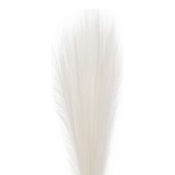 Yapay Bitki Pampas Beyaz 108 Cm.
