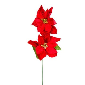 Yılbaşı Çiçeği, Puansetya, Kırmızı - 2 Çiçekli, 75 cm