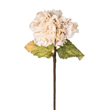 Yapay Ortanca, Krem - 50 cm