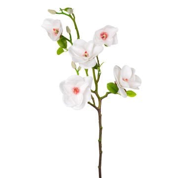 Yapay Manolya Dalı, Beyaz - 75 cm