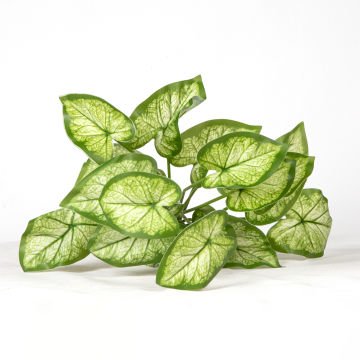 Yapay Bitki Syngonium-Melek Kanadı Gerçek Dokulu 18 Yaprak Yeşil-Beyaz 46 Cm.
