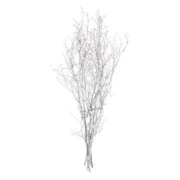 Kuru Bitki, Gürgen Dalı, Beyaz - 60-80 cm