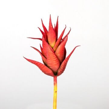 Yapay Kaktüs Sukulent Kırmızı 11 Cm.