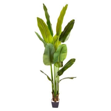 Yapay Starliçe Ağacı, Gerçek Dokunuş, Yeşil - 12 Yaprak, 210 cm