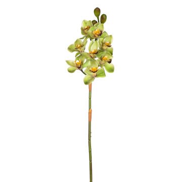 Yapay Çiçek Orkide Gerçek Dokulu Yeşil 75 Cm.