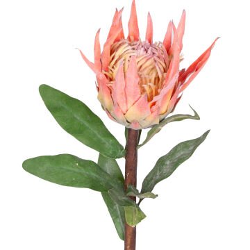 Yapay Çiçek Protea Çiçeği Turuncu 60 Cm.