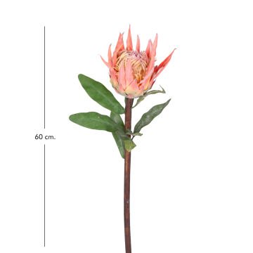 Yapay Çiçek Protea Çiçeği Turuncu 60 Cm.