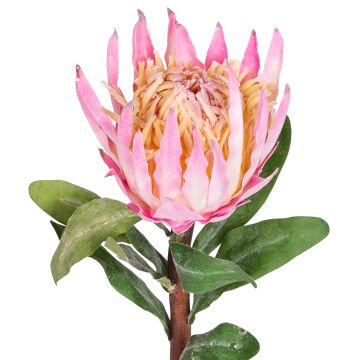 Yapay Çiçek Protea Çiçeği Pembe 60 Cm.