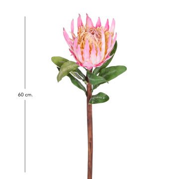 Yapay Çiçek Protea Çiçeği Pembe 60 Cm.