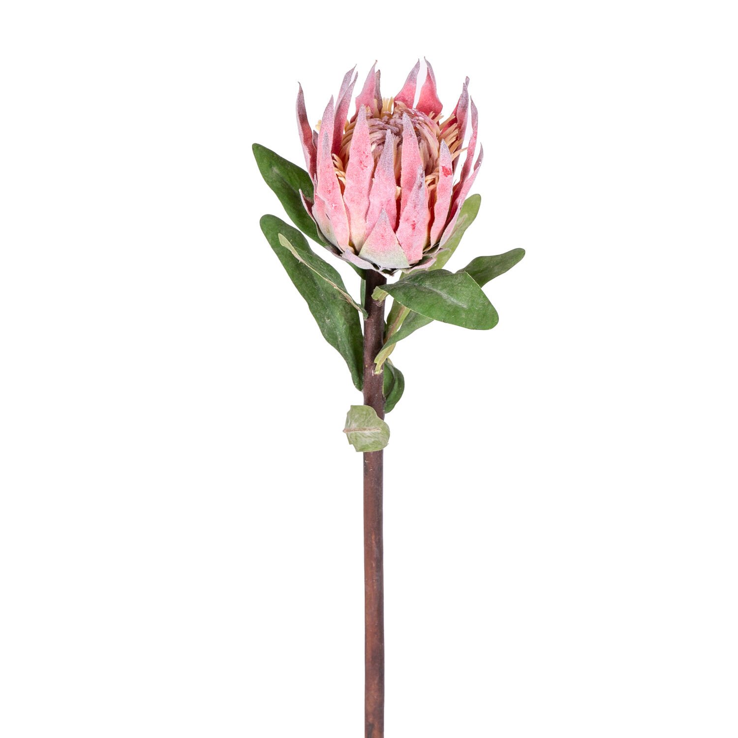 Yapay Çiçek Protea Çiçeği Kırmızı 60 Cm.