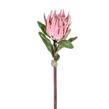 Yapay Çiçek Protea Çiçeği Kırmızı 60 Cm.