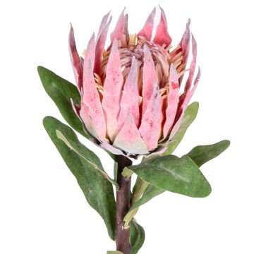 Yapay Çiçek Protea Çiçeği Kırmızı 60 Cm.