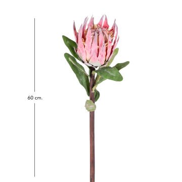 Yapay Çiçek Protea Çiçeği Kırmızı 60 Cm.