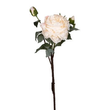 Yapay Çiçek Şakayık Kurumuş Efektli Krem 60 Cm.