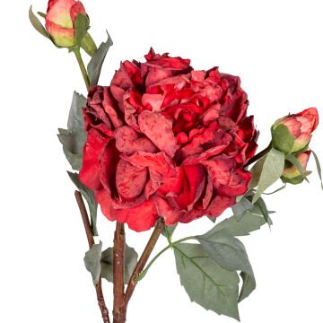 Yapay Çiçek Şakayık Kurumuş Efektli Kırmızı 60 Cm.