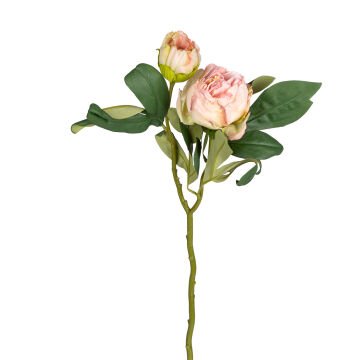 Yapay Çiçek, Şakayık, Kurumuş Efektli, Pembe-Krem - 50 cm