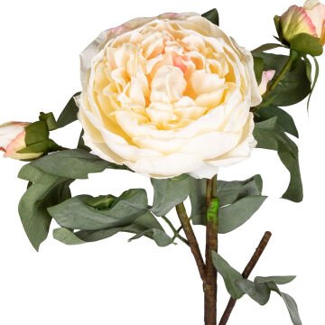 Yapay Çiçek Şakayık Dalı Krem 58 Cm.