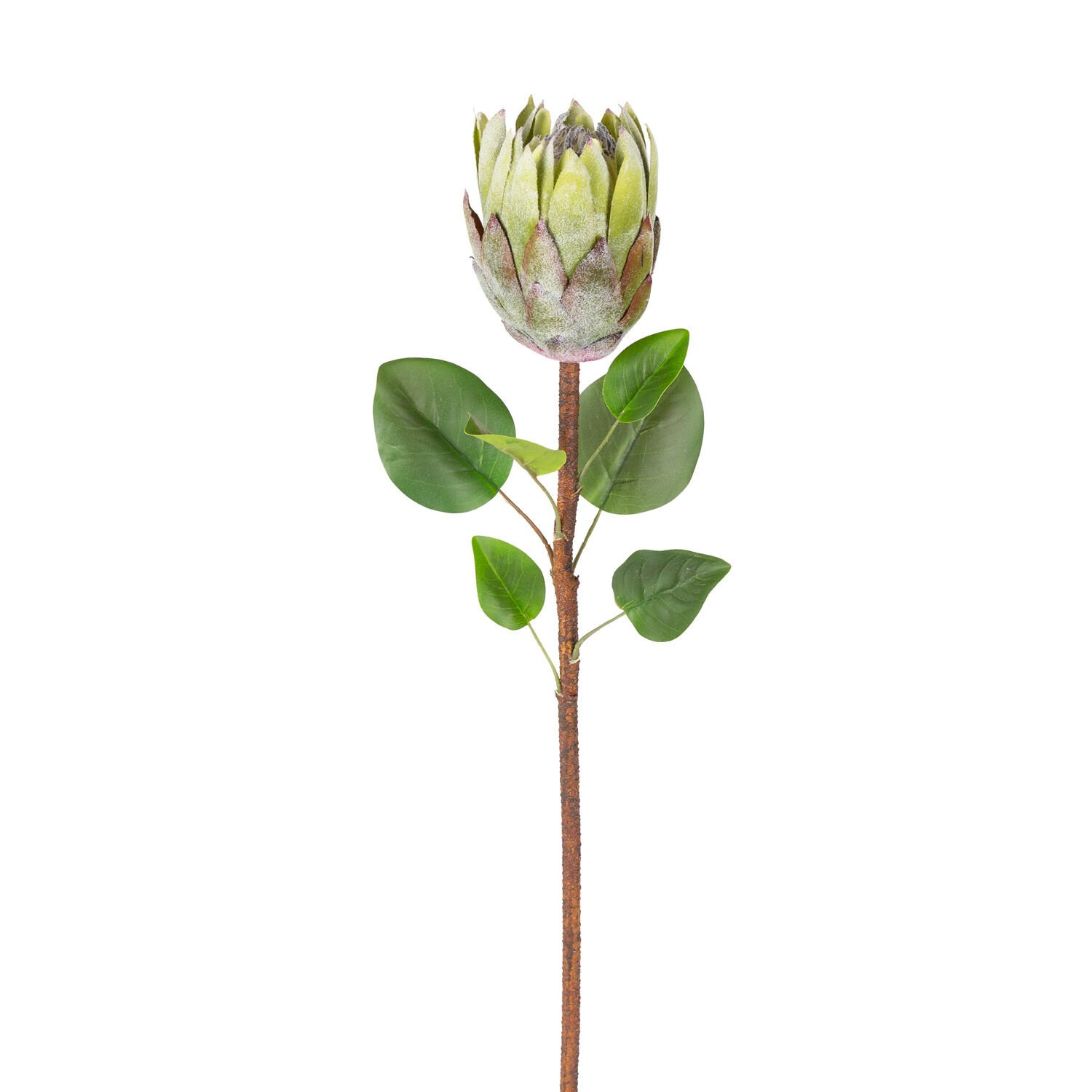Yapay Çiçek Protea Bitkisi Yeşil 67 Cm.