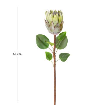 Yapay Çiçek Protea Bitkisi Yeşil 67 Cm.