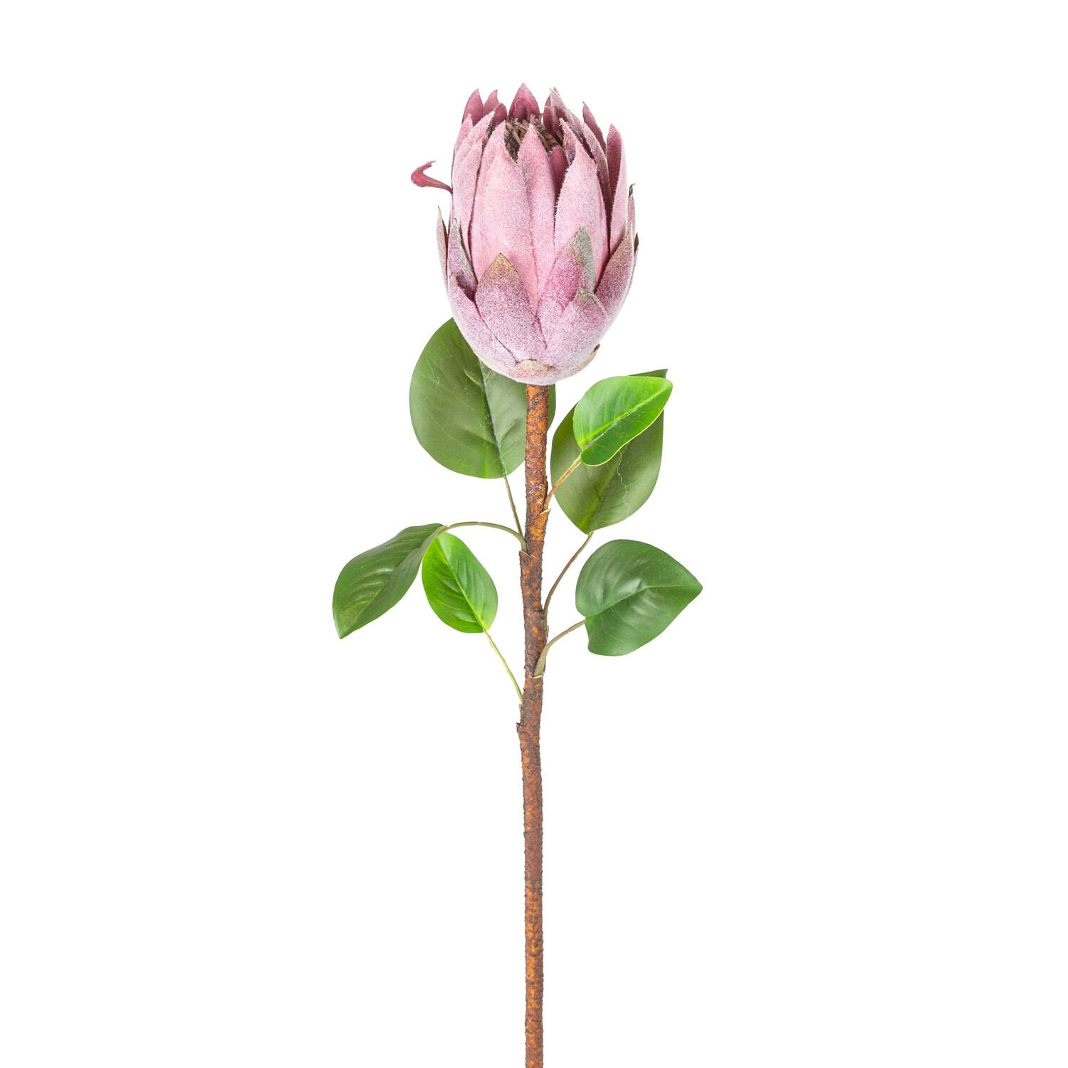 Yapay Çiçek Protea Bitkisi Mor 67 Cm.