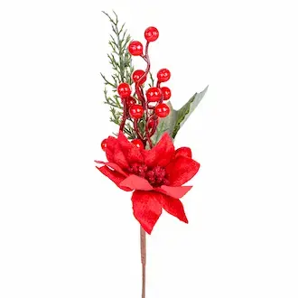 Yılbaşı Çiçekleri