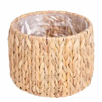 Hasır Sepet ve Saksılıklar