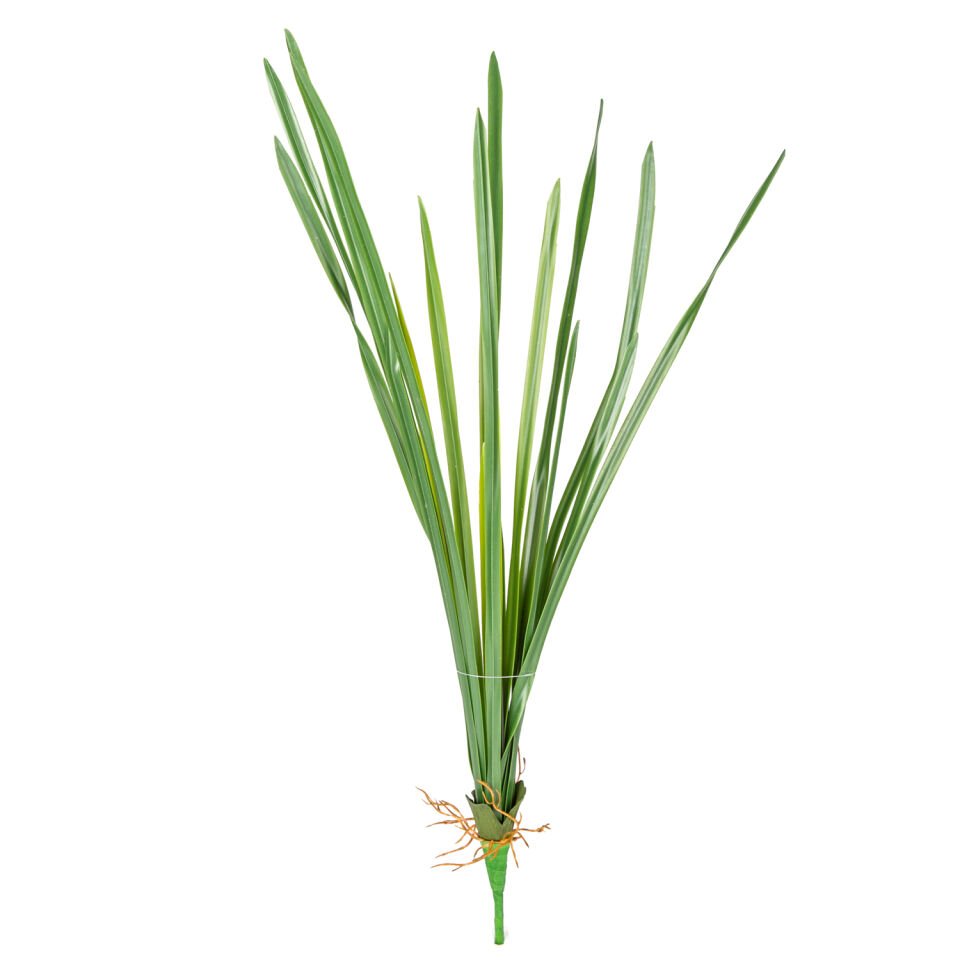 Yapay Saz, Köklü, Yeşil - 55 cm