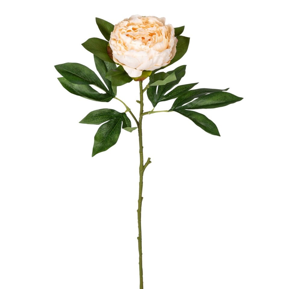 Yapay Çiçek, Şakayık, Krem - 77 cm