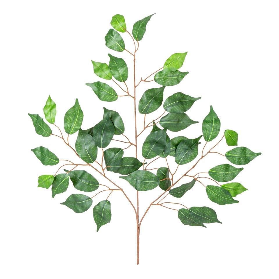 Yapay Ficus Dalı, Kıvrımlı, Yeşil - 60 cm