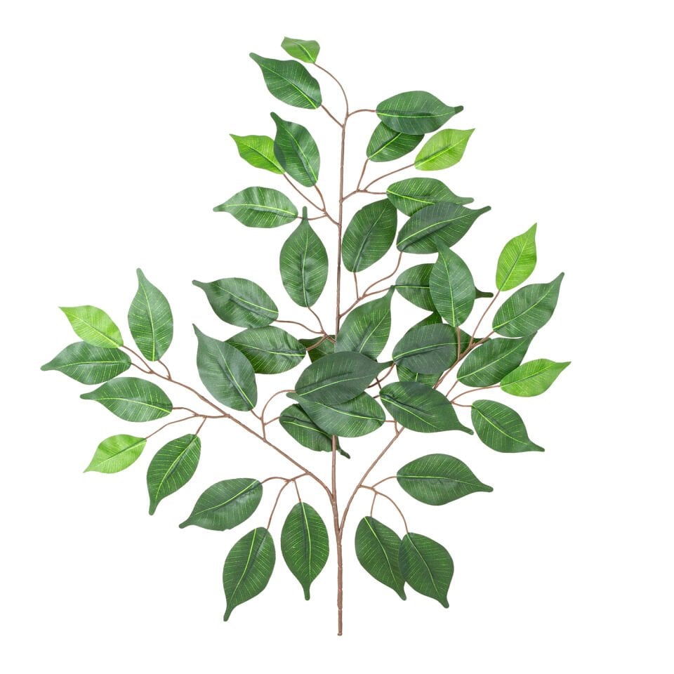 Yapay Ficus Dalı, Yeşil - 58 cm