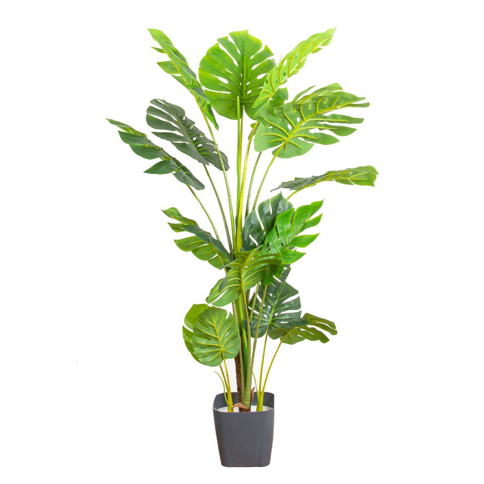 Yapay Deve Tabanı Ağacı (Monstera), Gerçek Dokulu - 16 Yapraklı, 150 cm