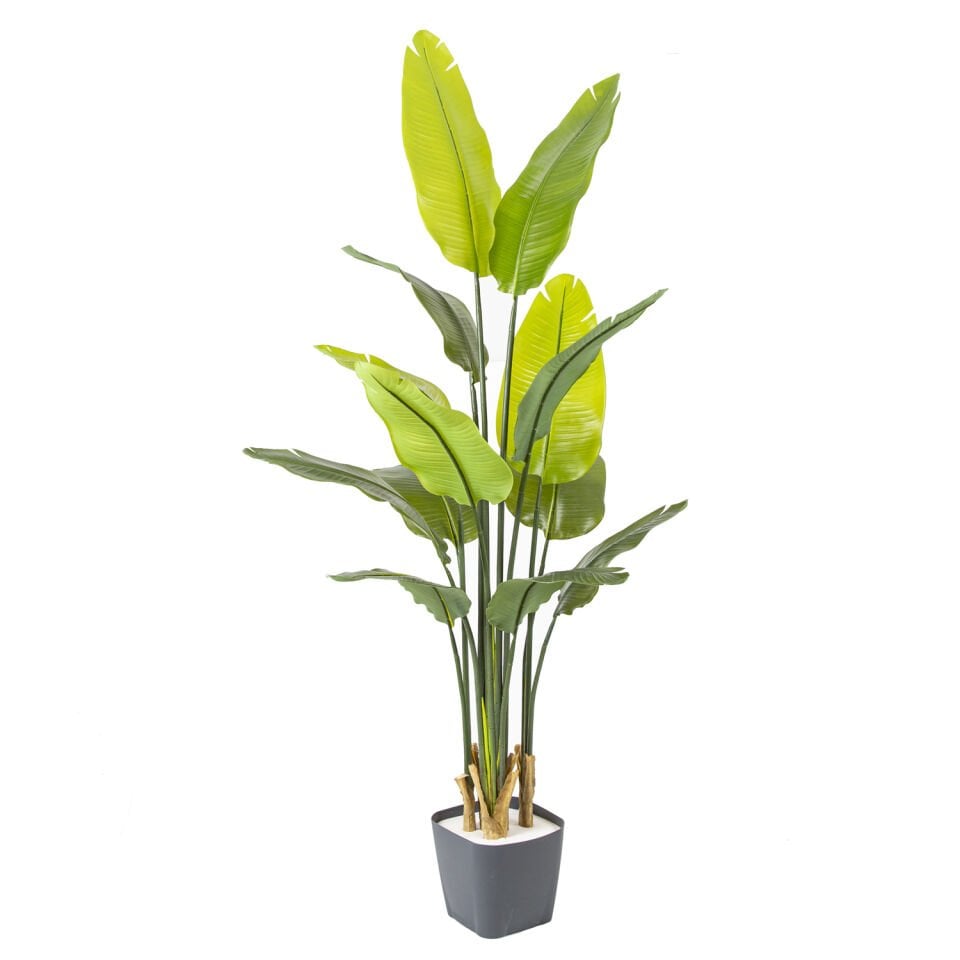 Yapay Starliçe Ağacı, Gerçek Dokulu, Yeşil - 13 Yapraklı, 165 cm