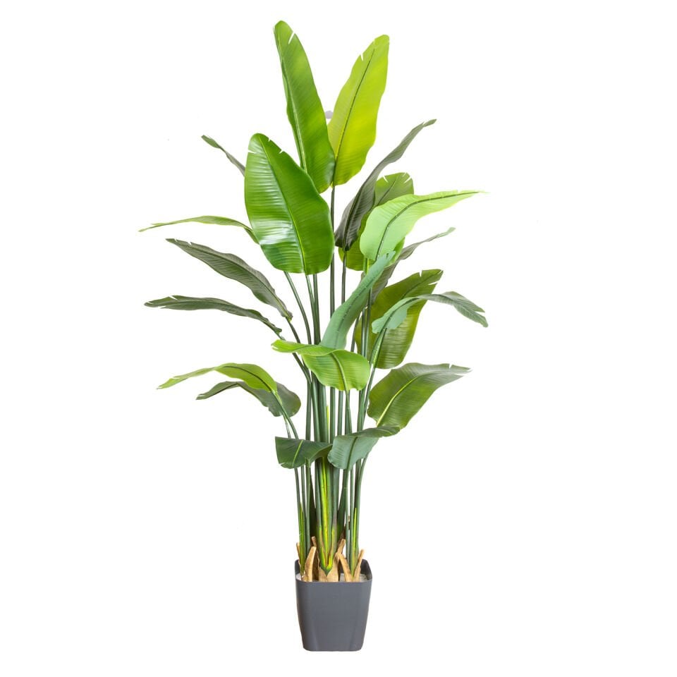 Yapay Starliçe Ağacı, Gerçek Dokulu, Yeşil - 20 Yapraklı, 190 cm