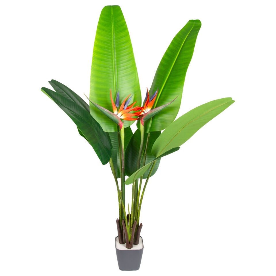 Yapay Starliçe Ağacı, Gerçek Dokulu, Yeşil-Turuncu - 8 Yaprak, 2 Çiçekli, 130 cm