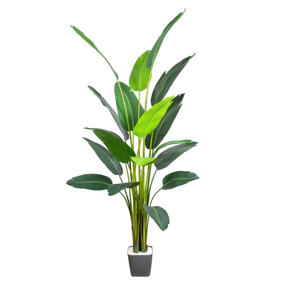 Yapay Starliçe Ağacı, Yeşil - 18 Yapraklı, 245 cm