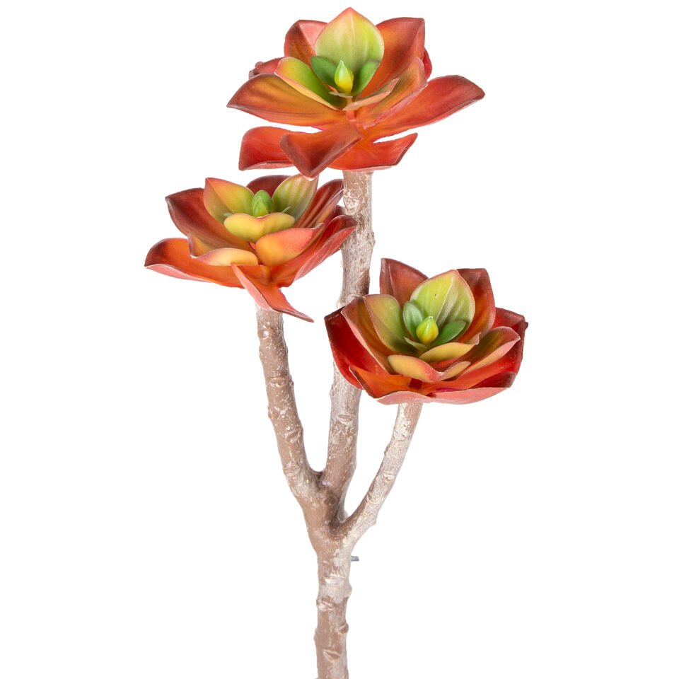 Yapay Kaktüs, Sukulent, Kırmızı - 35 cm