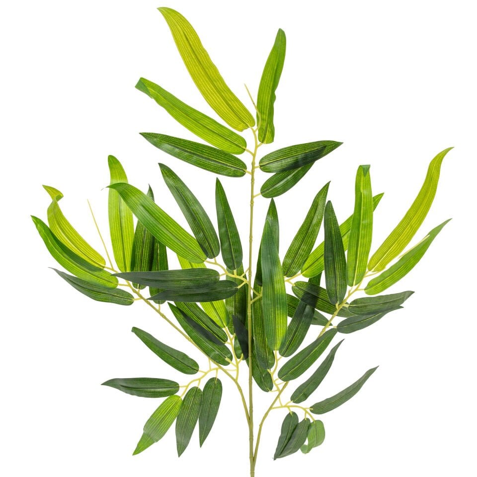 Bambu Yaprağı, Yeşil - 65 cm