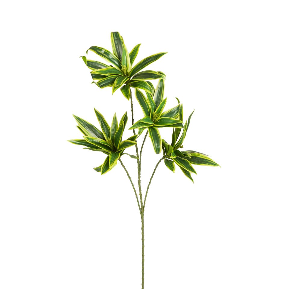 Yapay Dracena Bitkisi, Yeşil-Sarı - 75 cm