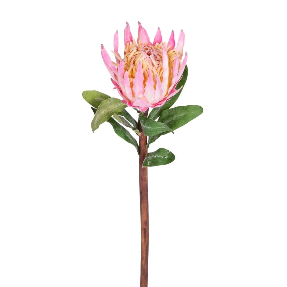 Yapay Çiçek, Protea Çiçeği, Pembe - 60 cm