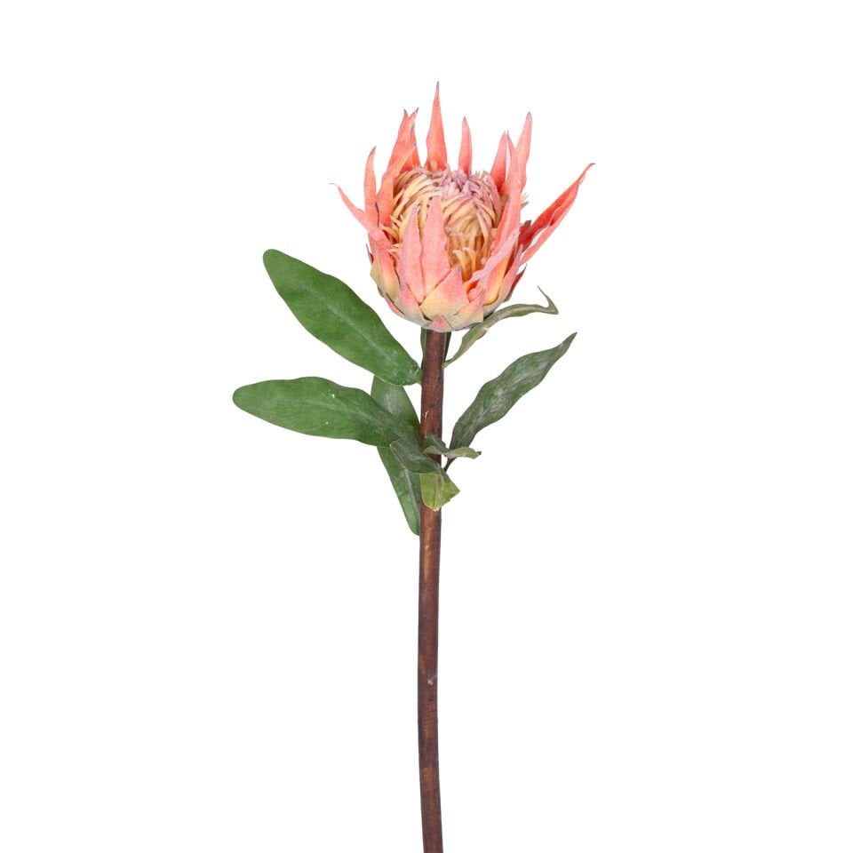 Yapay Çiçek, Protea Çiçeği, Turuncu - 60 cm